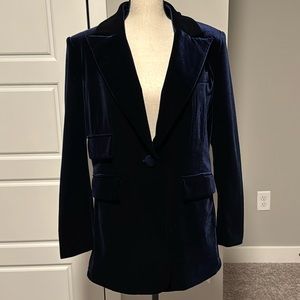 Blue Velvet Blazer | L | MOTF